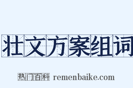 壮文方案组词是什么意思的图片